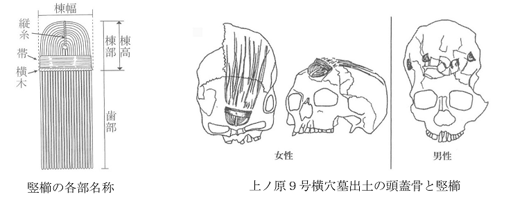 竪櫛の各部名称・上ノ原９号横穴墓出土の頭蓋骨と竪櫛